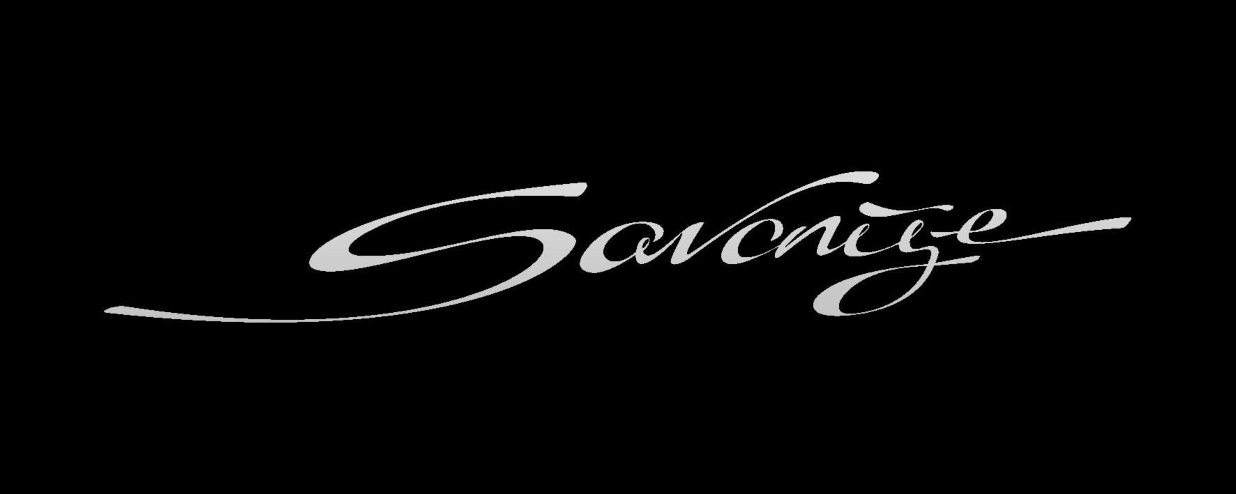 savonije logo silver metallic